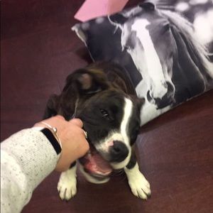 Meet your Posher, Jade